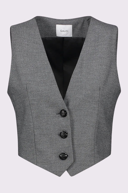Gaudi Milano Weste